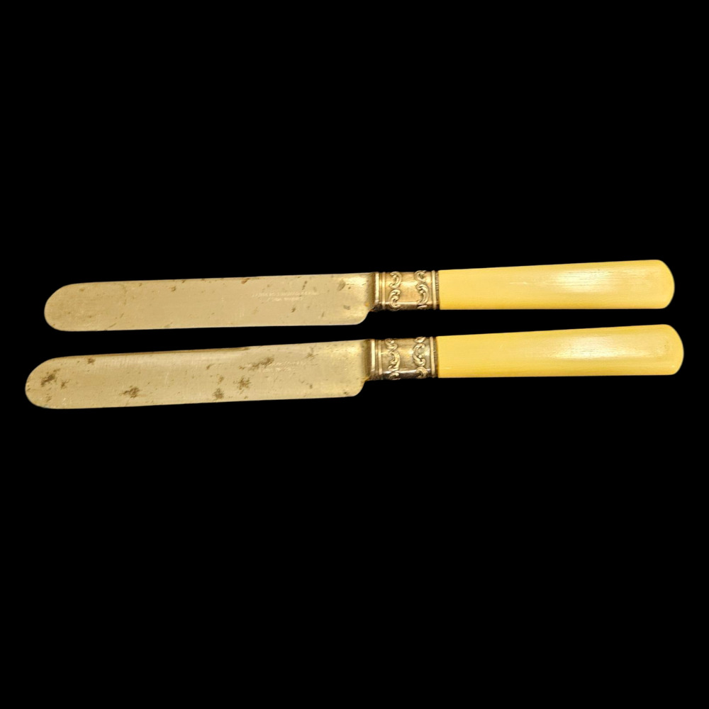 Vintage Landers Frary Clark Aetna Works Celluloid Handle Butter Spreaders Pair